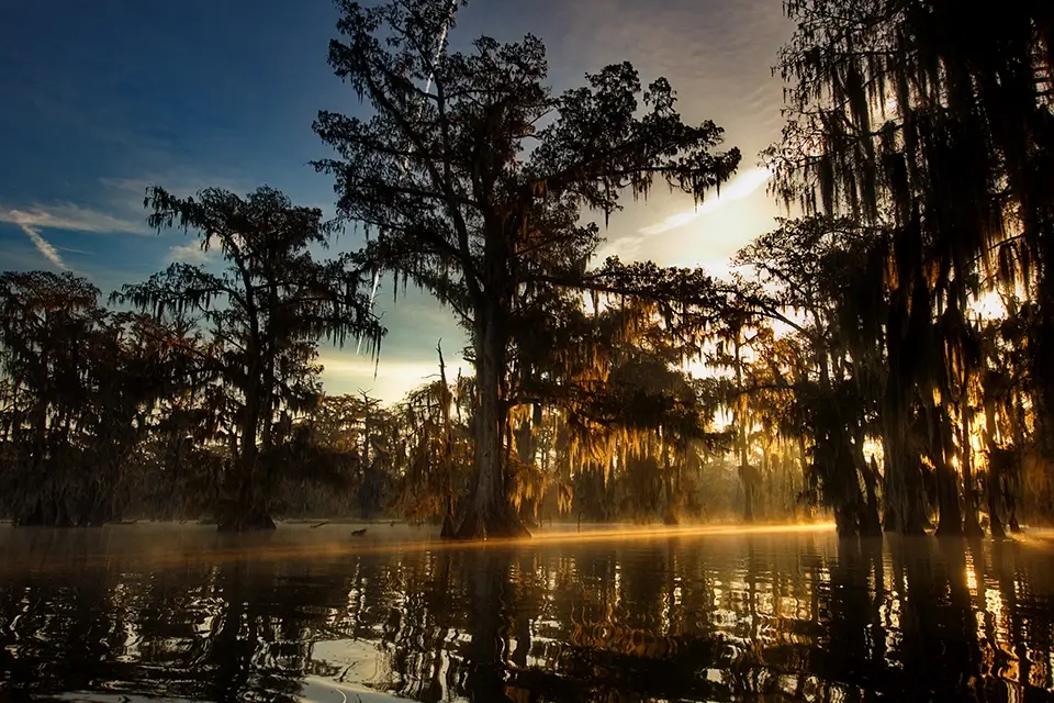 Mietwagenrundreise Chicago-New Orleans, Preis mit Mietwagen ab Euro 1998,-/Person