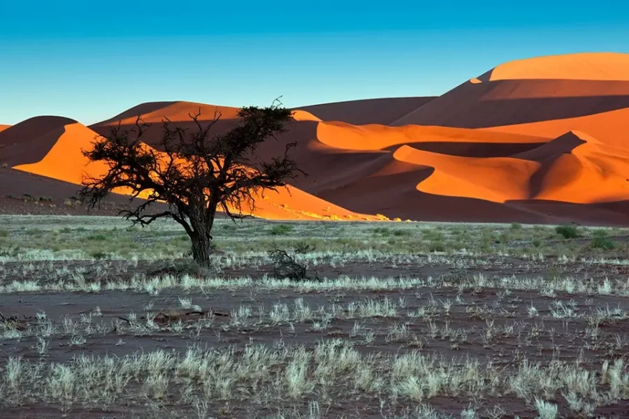 Private Rundreise ab Windhoeck bis Victoria Falls