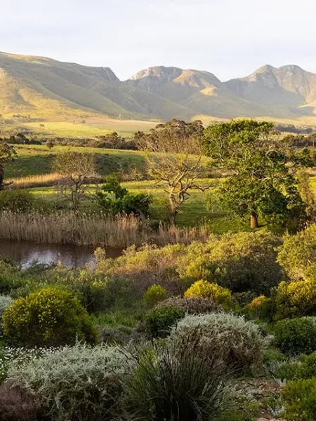 Rundreise Gardenroute Südafrika