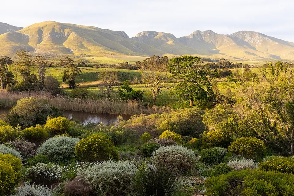 Rundreise Gardenroute Südafrika