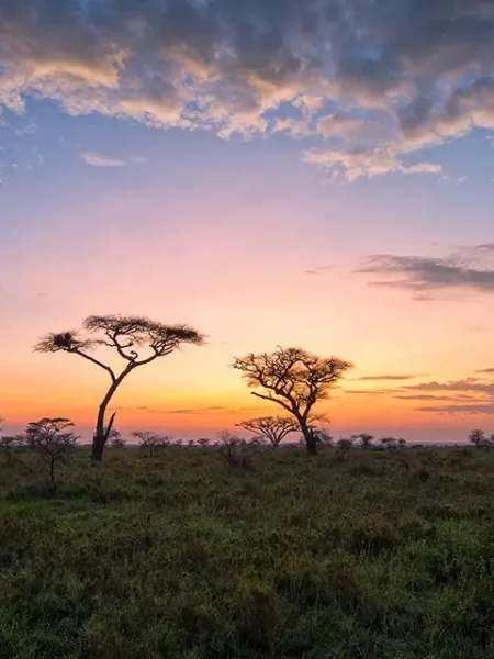 Private Safari in Tansania